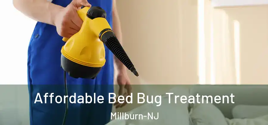 Affordable Bed Bug Treatment Millburn-NJ