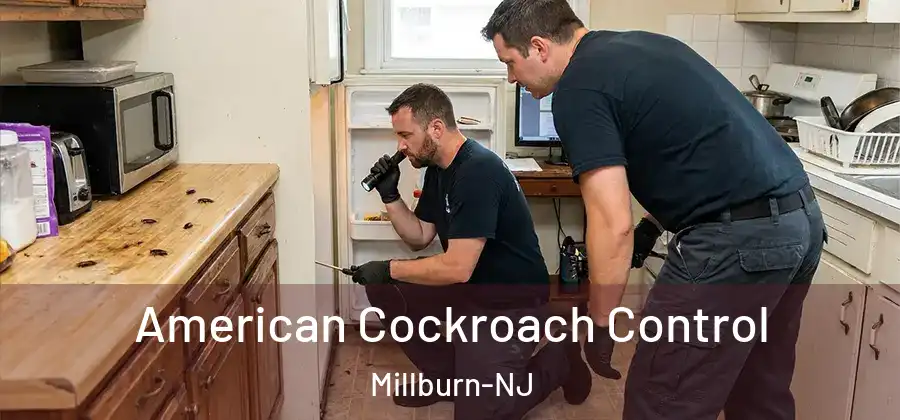  American Cockroach Control Millburn-NJ