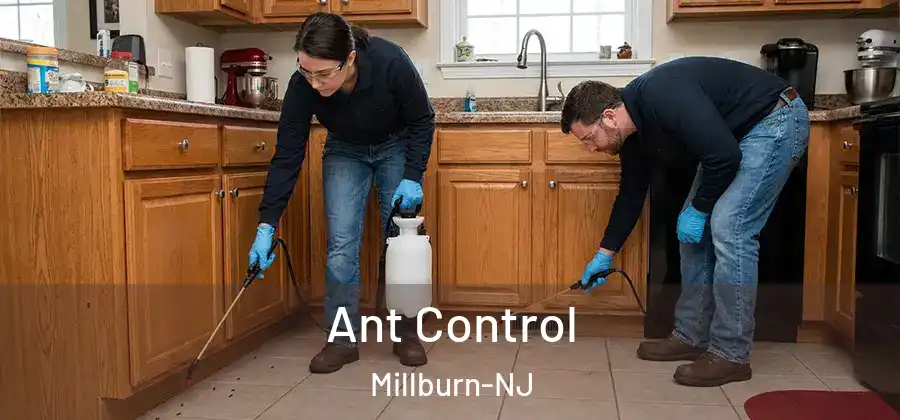 Ant Control Millburn-NJ