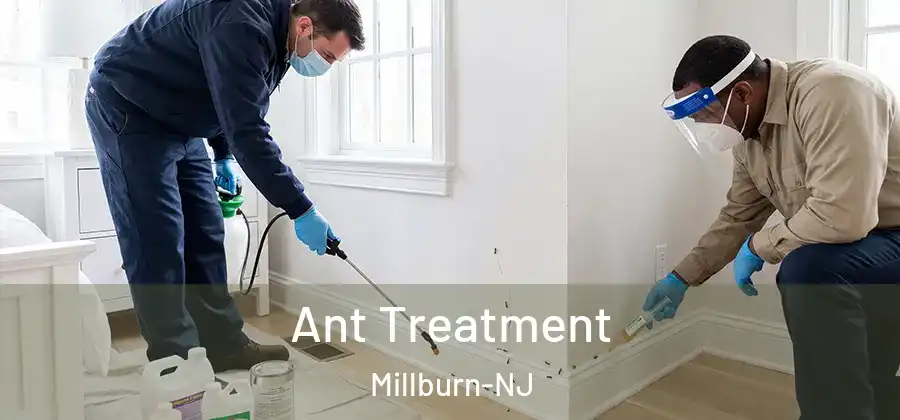 Ant Treatment Millburn-NJ