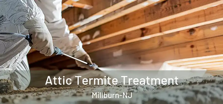 Attic Termite Treatment Millburn-NJ