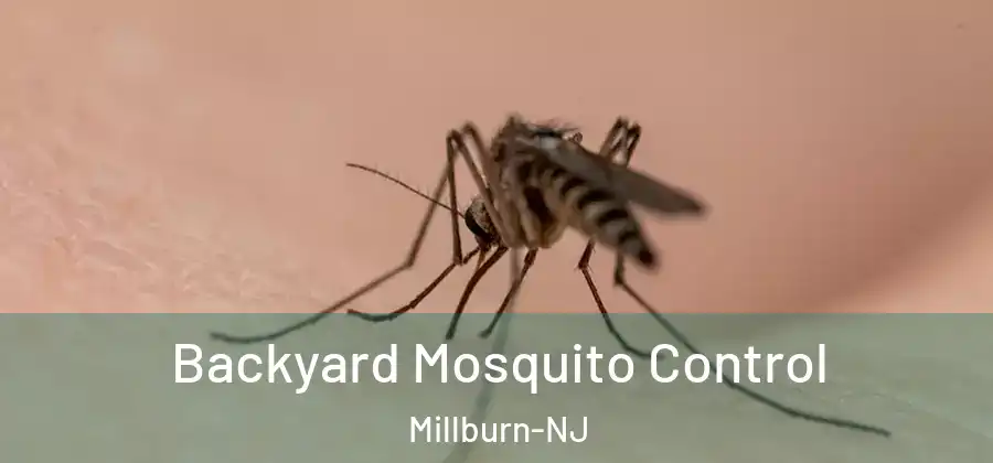  Backyard Mosquito Control Millburn-NJ