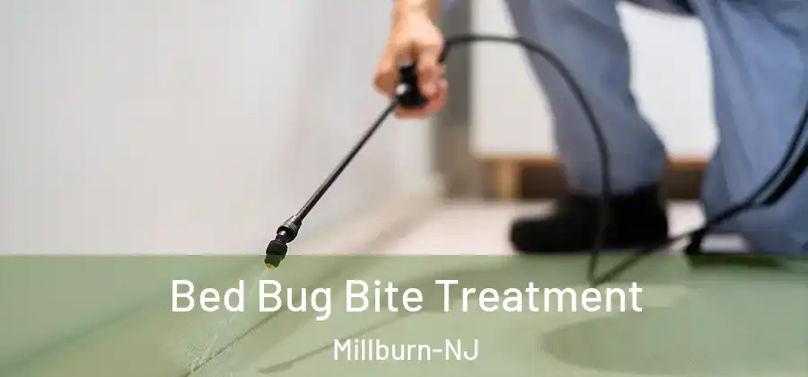  Bed Bug Bite Treatment Millburn-NJ