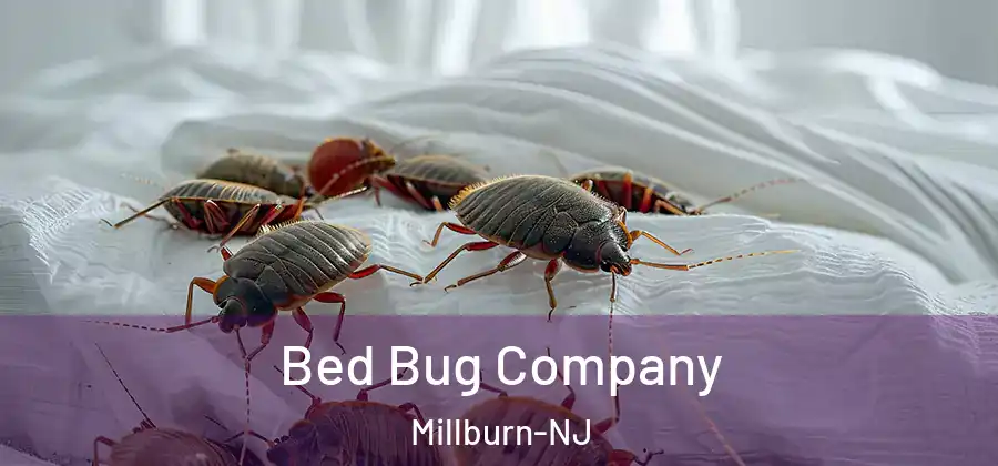 Bed Bug Company Millburn-NJ