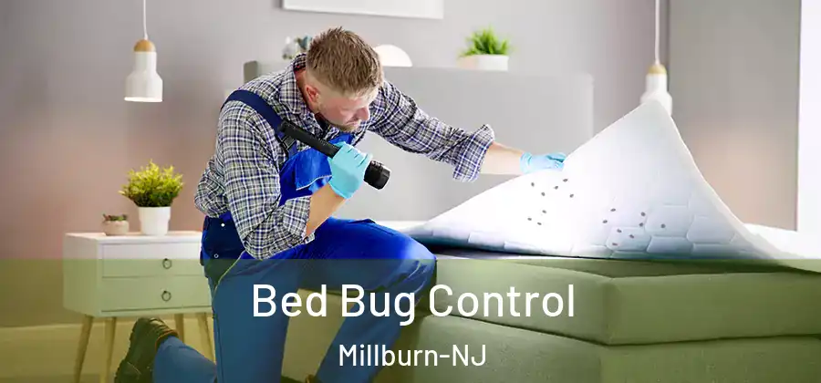 Bed Bug Control Millburn-NJ