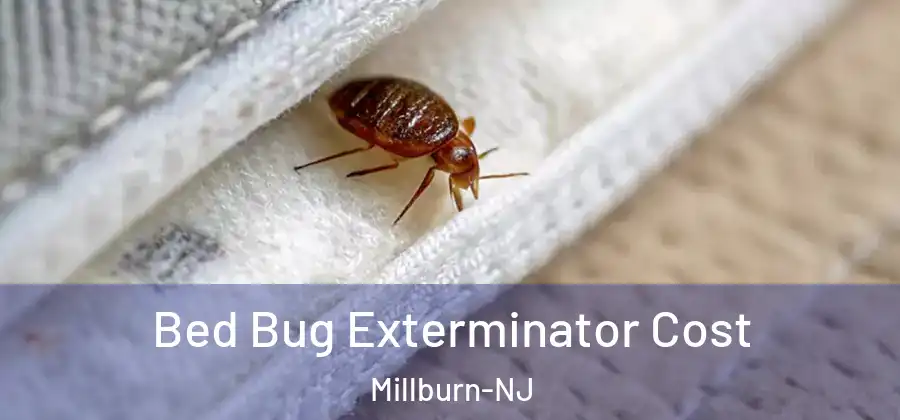  Bed Bug Exterminator Cost Millburn-NJ