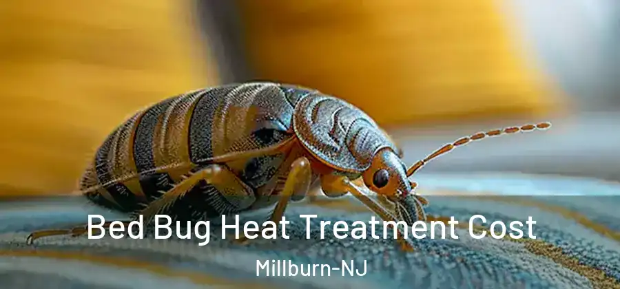 Bed Bug Heat Treatment Cost Millburn-NJ