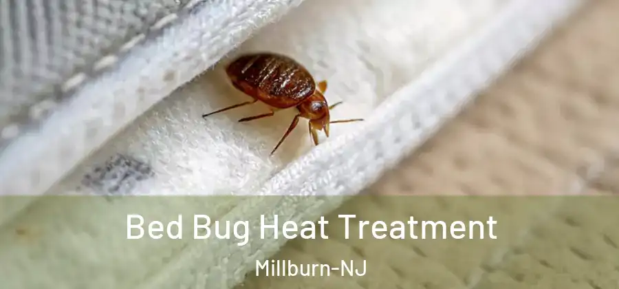 Bed Bug Heat Treatment Millburn-NJ
