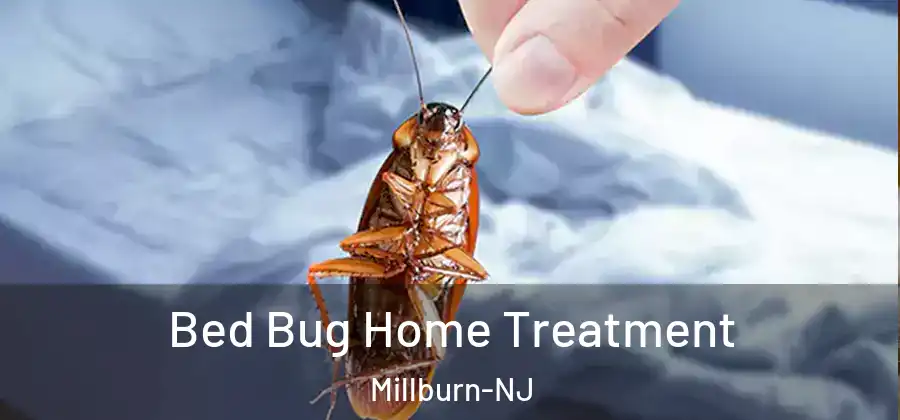Bed Bug Home Treatment Millburn-NJ