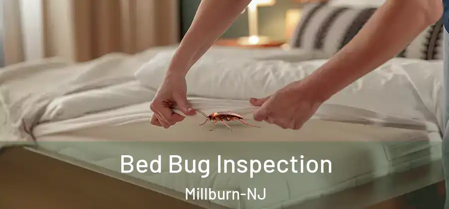 Bed Bug Inspection Millburn-NJ