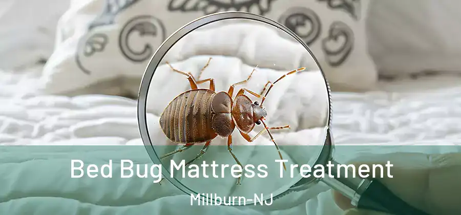 Bed Bug Mattress Treatment Millburn-NJ