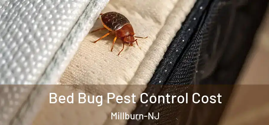 Bed Bug Pest Control Cost Millburn-NJ