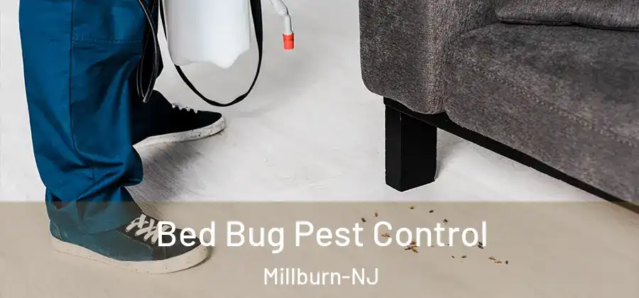 Bed Bug Pest Control Millburn-NJ