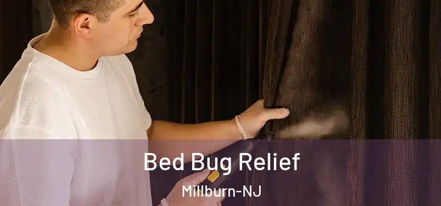  Bed Bug Relief Millburn-NJ