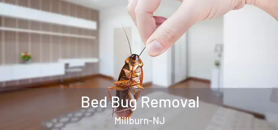 Bed Bug Removal Millburn-NJ