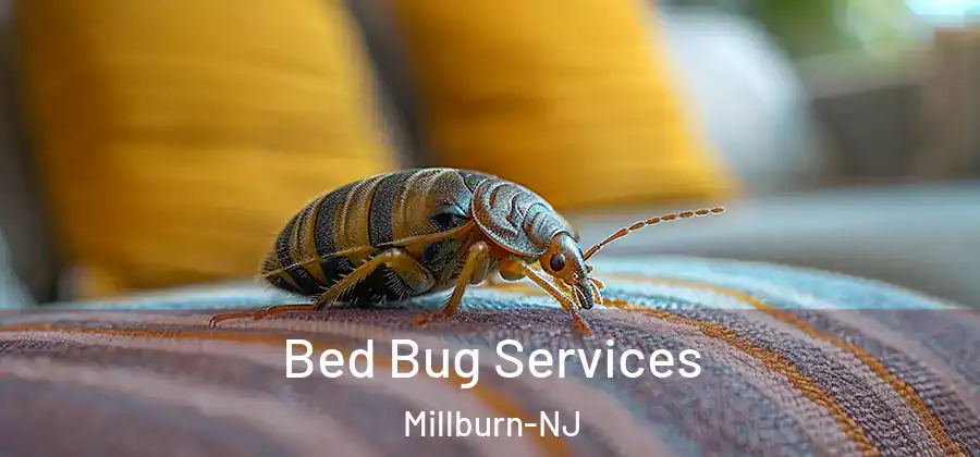 Bed Bug Services Millburn-NJ