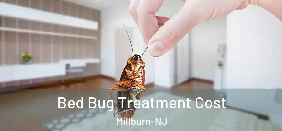  Bed Bug Treatment Cost Millburn-NJ
