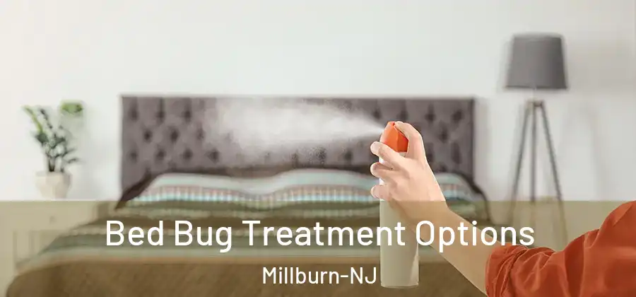  Bed Bug Treatment Options Millburn-NJ