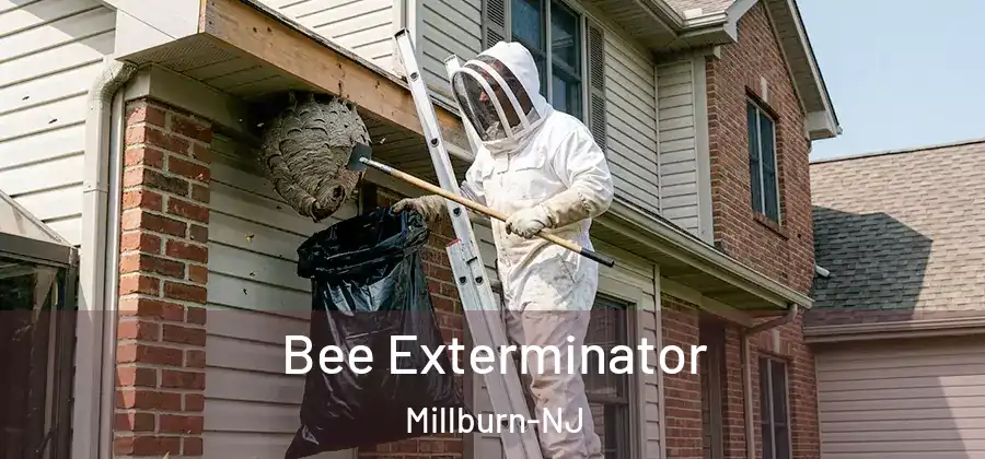  Bee Exterminator Millburn-NJ