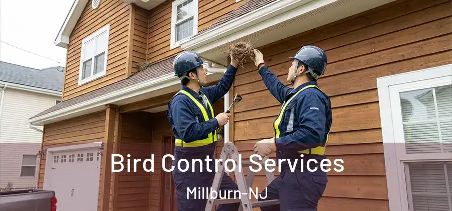 Bird Control Services Millburn-NJ