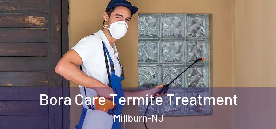 Bora Care Termite Treatment Millburn-NJ
