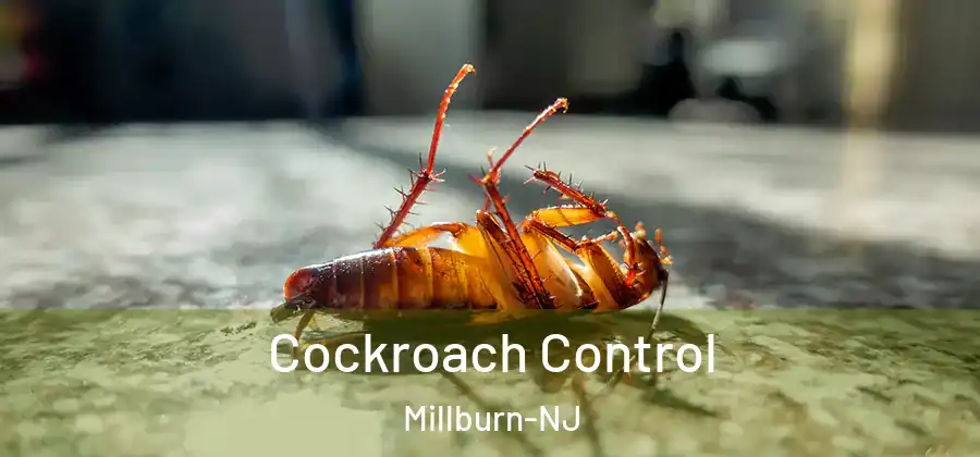 Cockroach Control Millburn-NJ