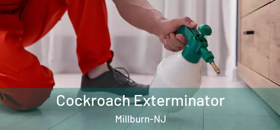 Cockroach Exterminator Millburn-NJ