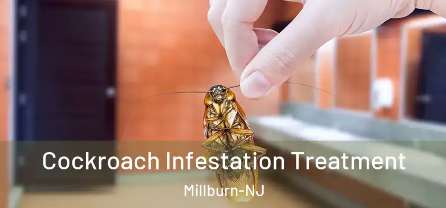 Cockroach Infestation Treatment Millburn-NJ