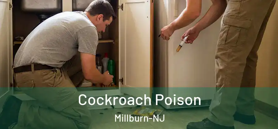 Cockroach Poison Millburn-NJ