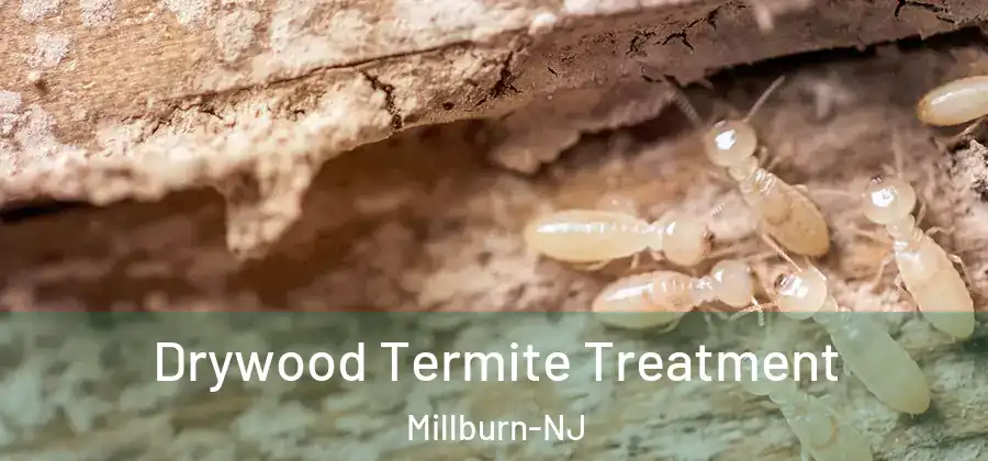 Drywood Termite Treatment Millburn-NJ