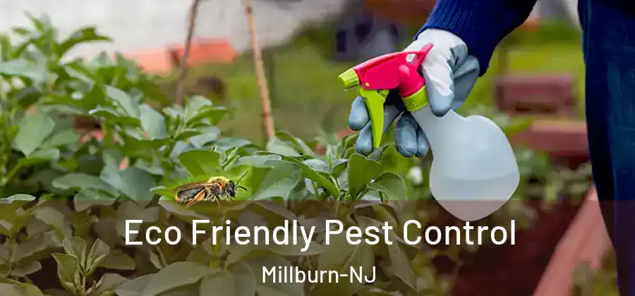 Eco Friendly Pest Control Millburn-NJ