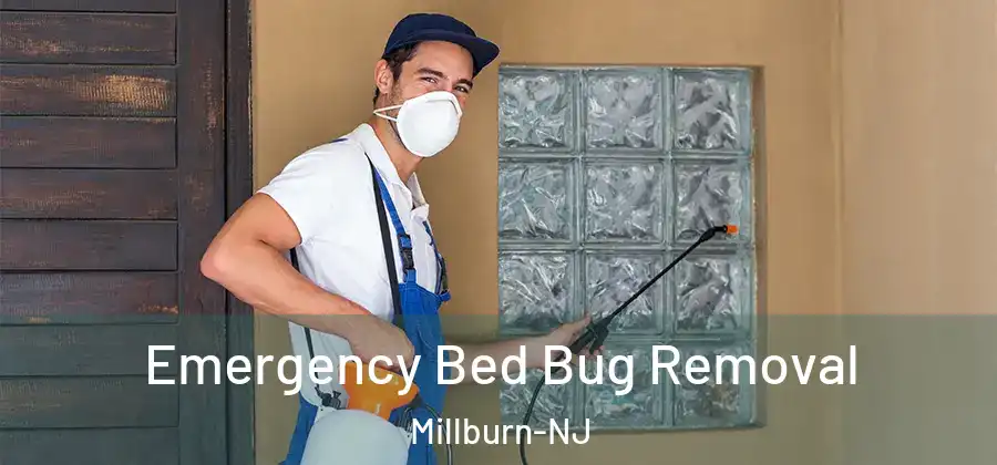 Emergency Bed Bug Removal Millburn-NJ
