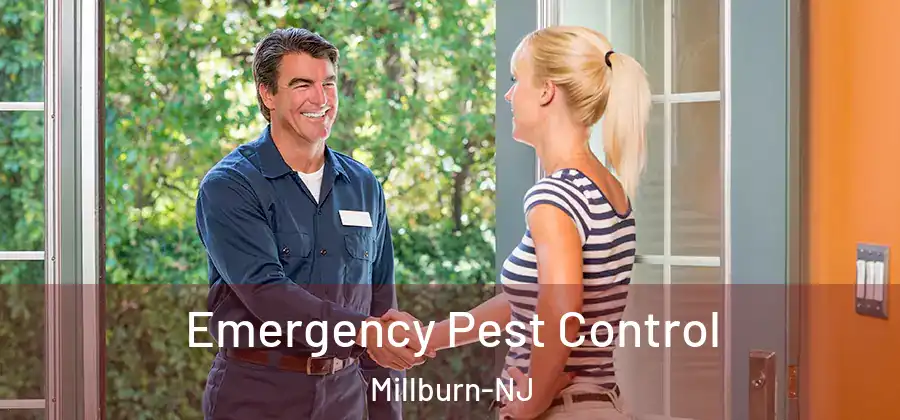 Emergency Pest Control Millburn-NJ