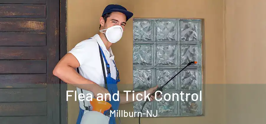 Flea and Tick Control Millburn-NJ