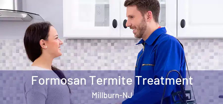Formosan Termite Treatment Millburn-NJ