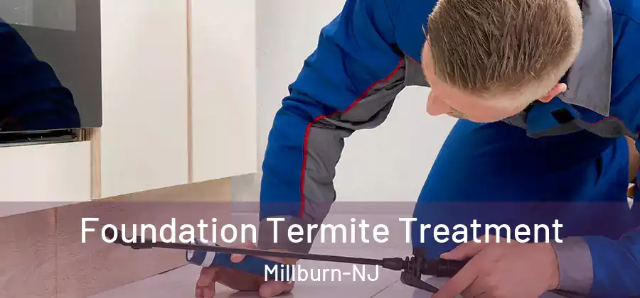 Foundation Termite Treatment Millburn-NJ