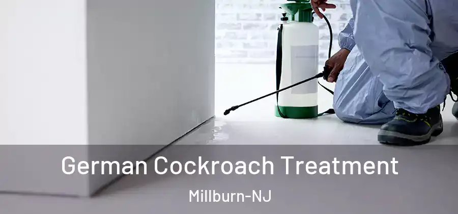 German Cockroach Treatment Millburn-NJ