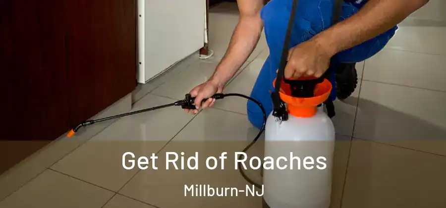  Get Rid of Roaches Millburn-NJ
