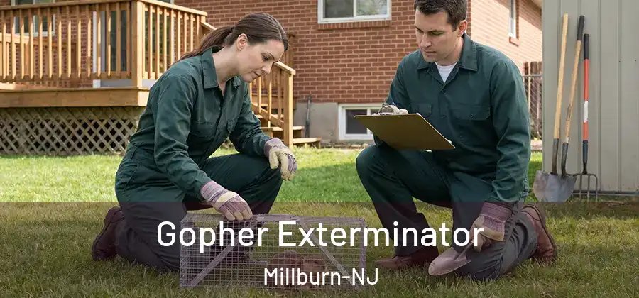  Gopher Exterminator Millburn-NJ