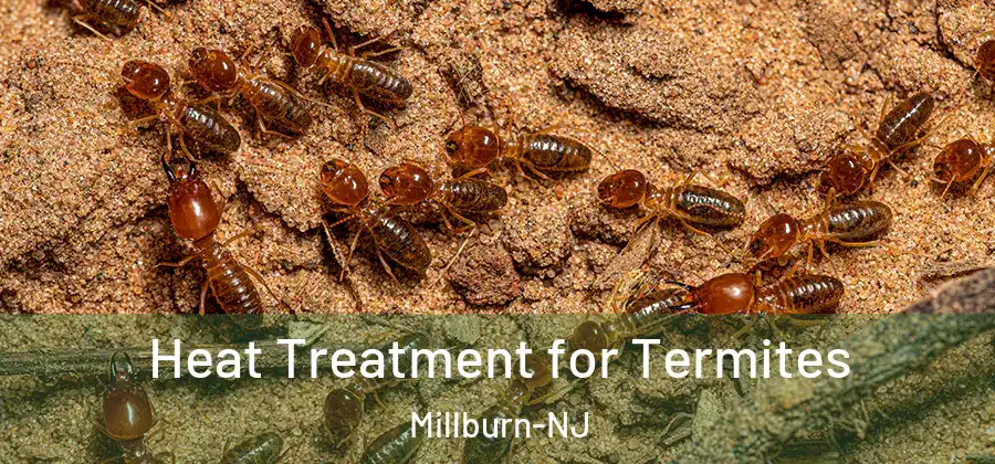 Heat Treatment for Termites Millburn-NJ