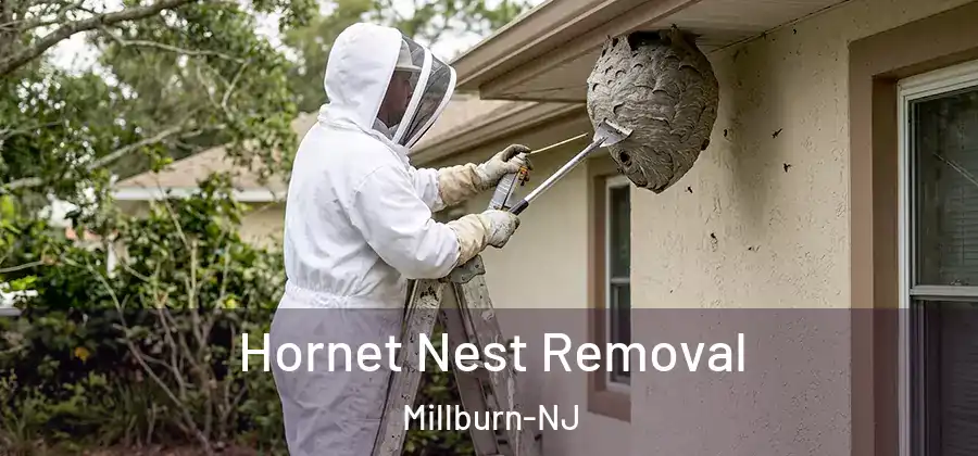 Hornet Nest Removal Millburn-NJ