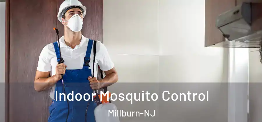 Indoor Mosquito Control Millburn-NJ