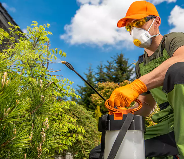 Your Best Bug Spray for Home Team in Millburn, NJ