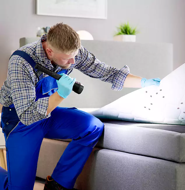 Why Choose Millburn Pest Control Pro For Bed Bug Heat Treatment in Millburn, NJ?