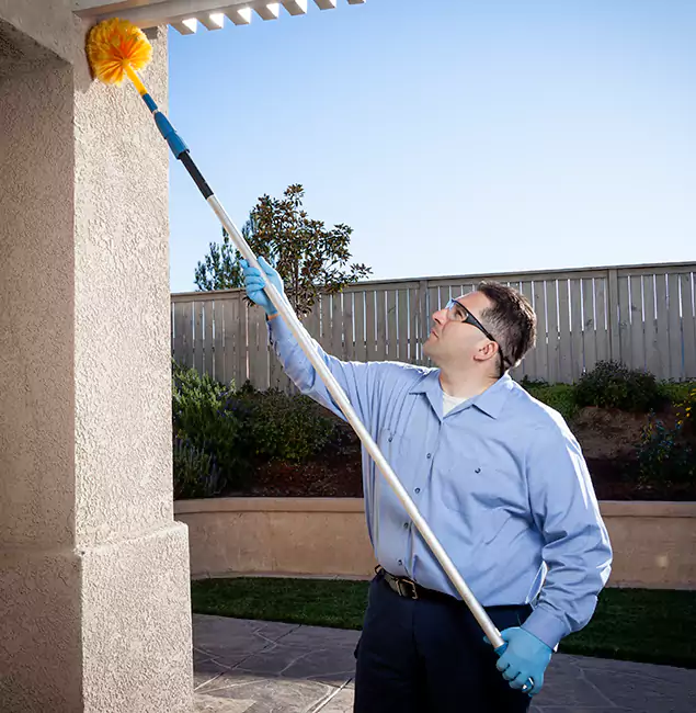 Why Choose Millburn Pest Control Pro for Foundation Termite Treatment in Millburn, NJ?