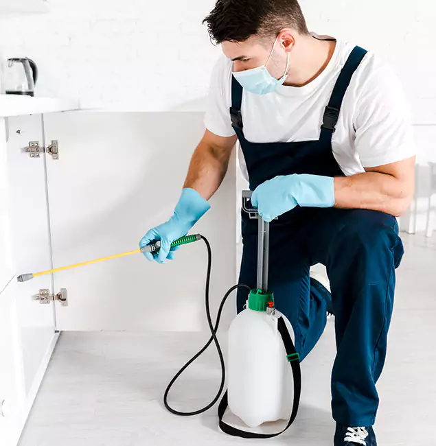 Why Millburn, NJ Homeowners Trust Us for German Roach Control?