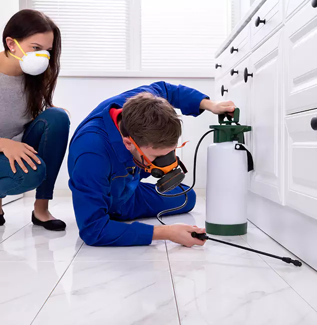 Why Millburn, NJ Homeowners Trust Millburn Pest Control Pro for Roach Control?