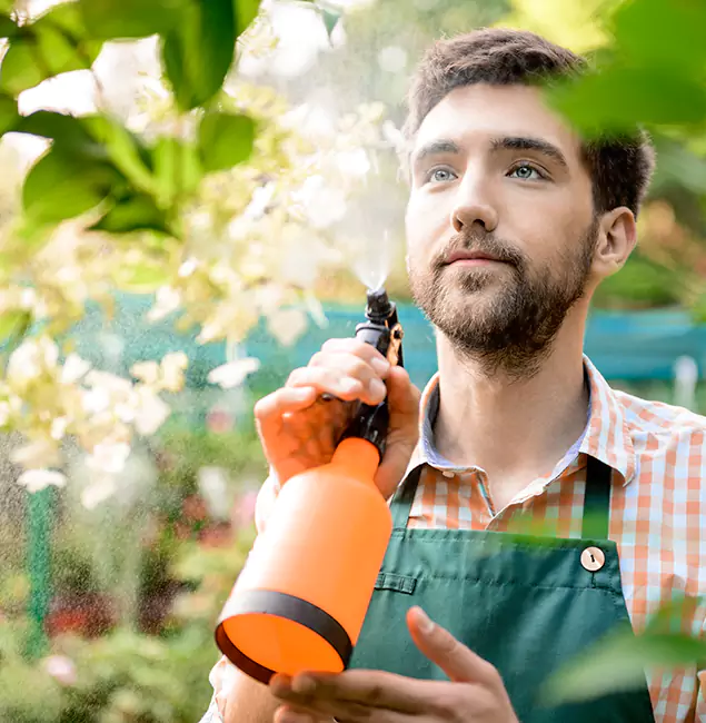 Why Millburn Homeowners Call Millburn Pest Control Pro for Mosquitoes in House?