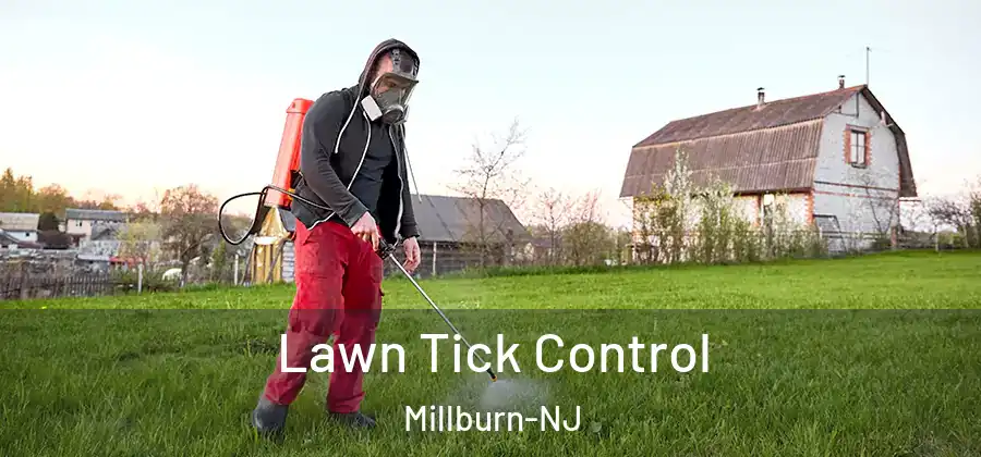  Lawn Tick Control Millburn-NJ