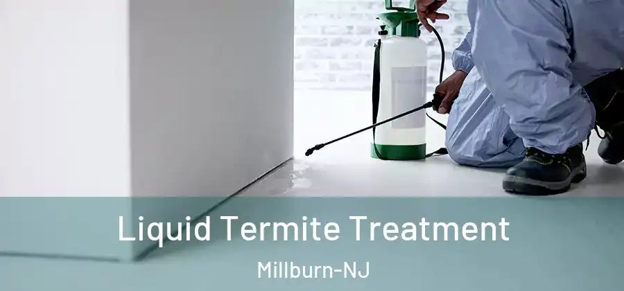  Liquid Termite Treatment Millburn-NJ
